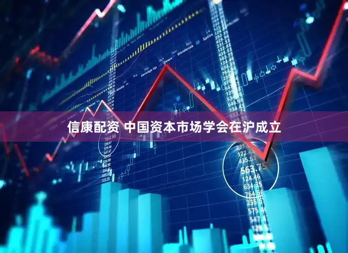 信康配资 中国资本市场学会在沪成立