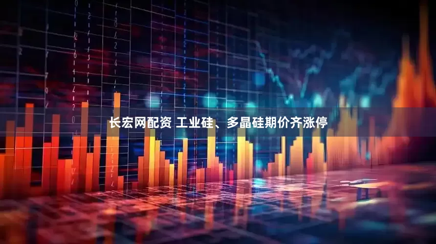 长宏网配资 工业硅、多晶硅期价齐涨停